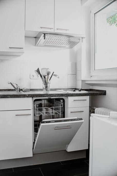Wiesbaden - Apartment Im Nerotal Екстериор снимка